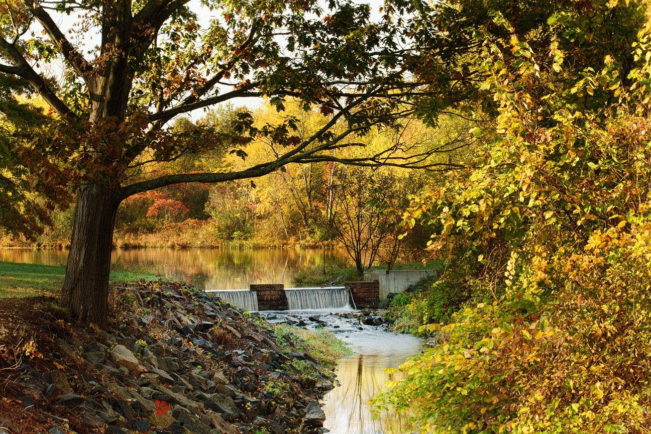 Mill Woods Park Visit CT